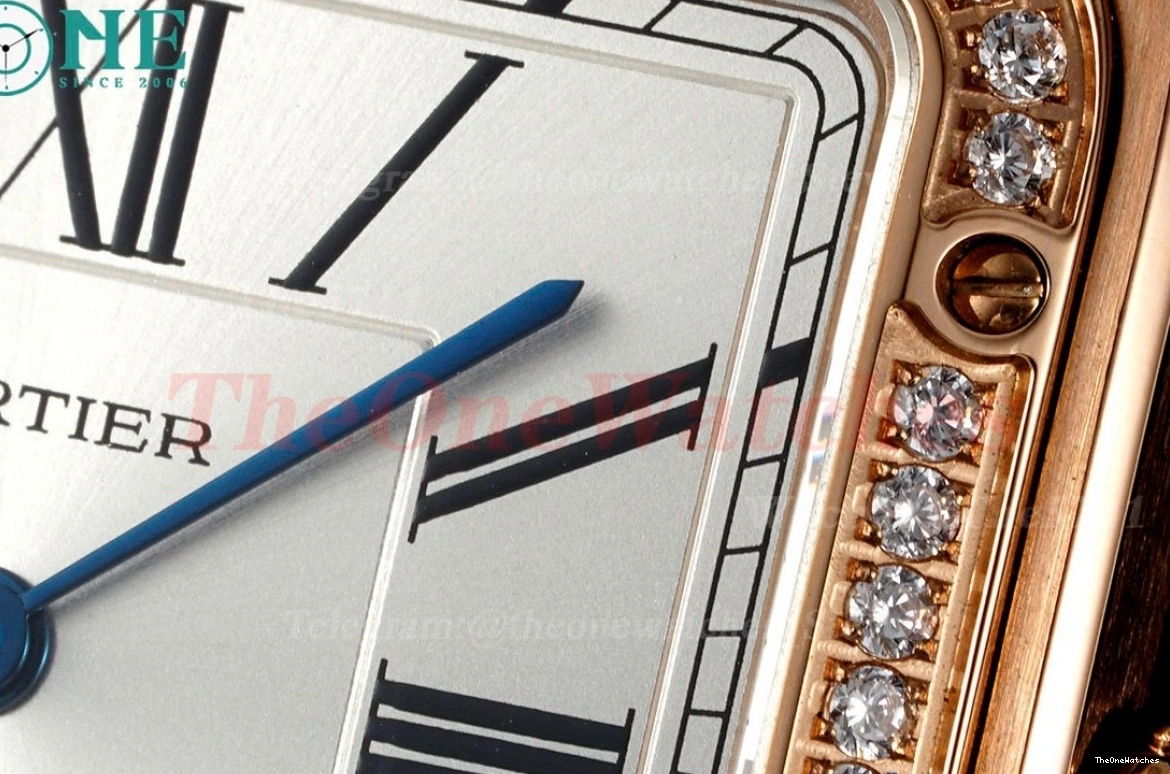 Dumont Dial Silver Brown Santos Quartz LE RG AF Dia 0313